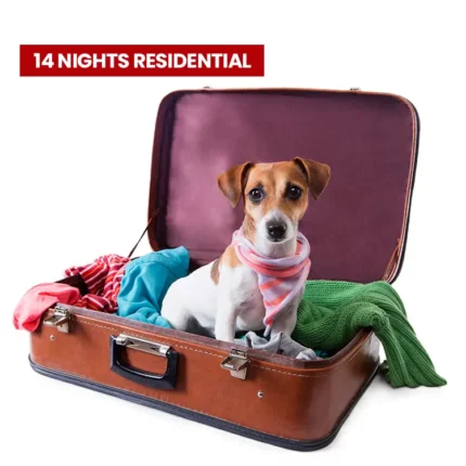 Deposit 14 Nights Residential