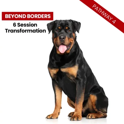 Pathway 4 - <br>Beyond Borders